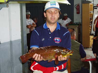 Un pescador del equipo de Cantábria, con un hermoso "Pinto",capturado en el "Villa de Castropol".