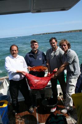 Los cuatro componentes del Club Sant Feliú,Eduardo,Prat,Xavi y Esclúsa,nos muestran la bolsa del pescado capturado en una de las mangas.